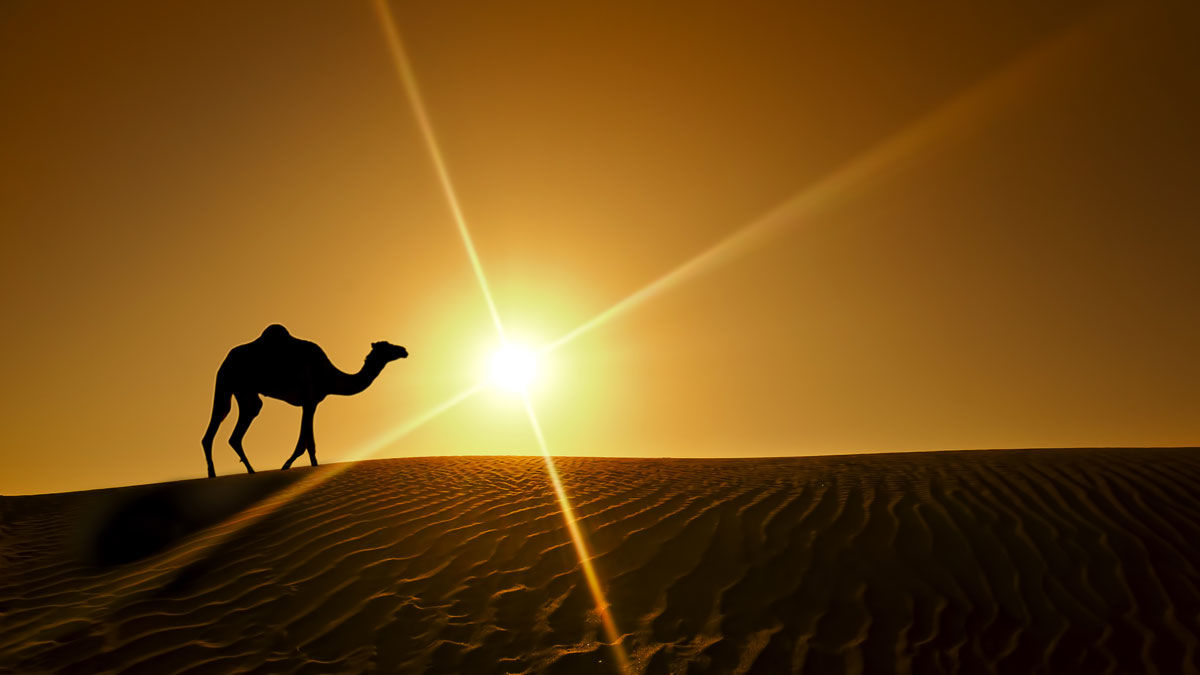 Knight Castle Hotel Dubai Exterior foto The Sahara Desert